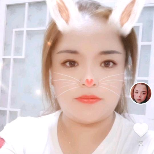 晋中市太谷区水秀镇兴兴花卉种植处