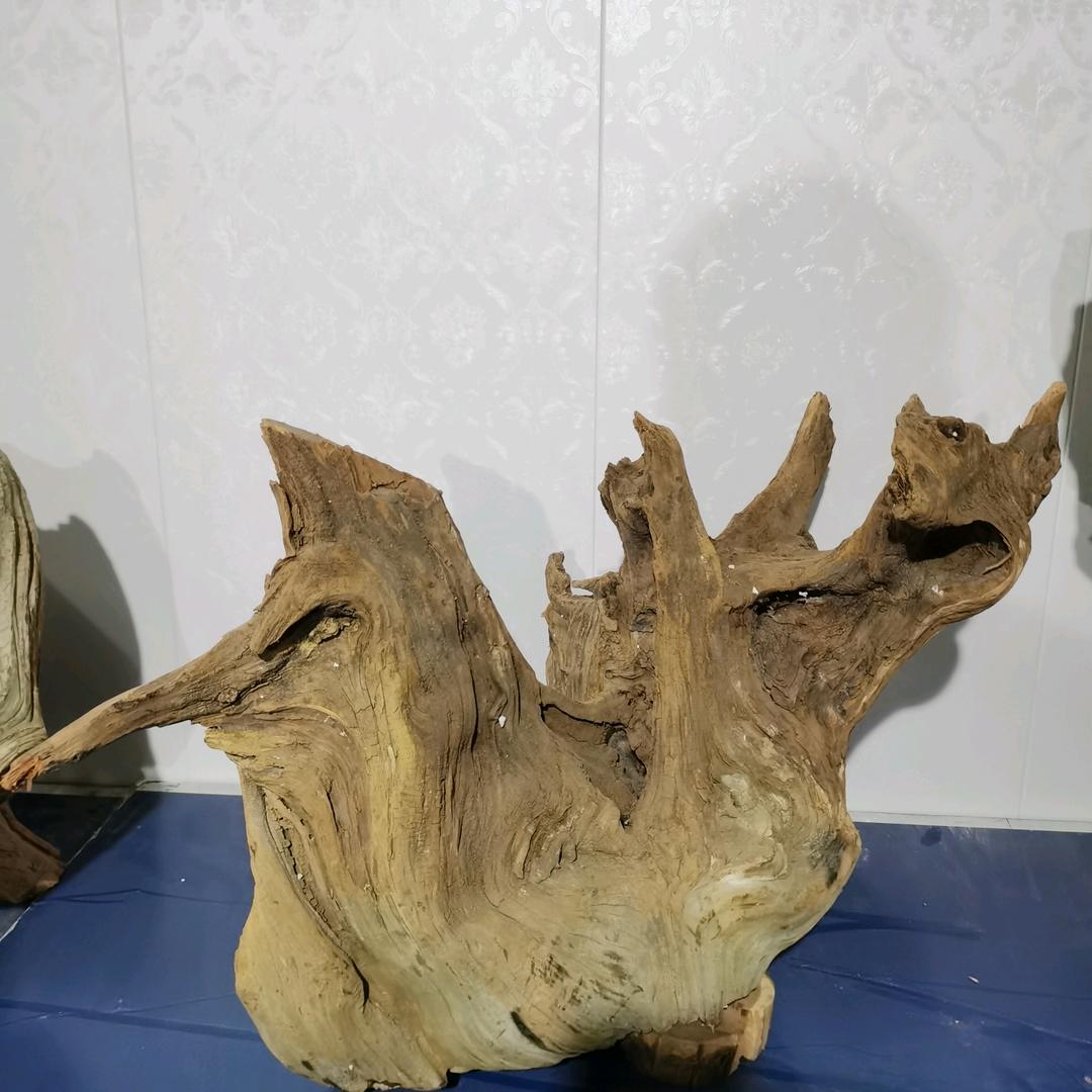 老九