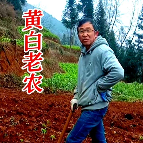 黄白老农