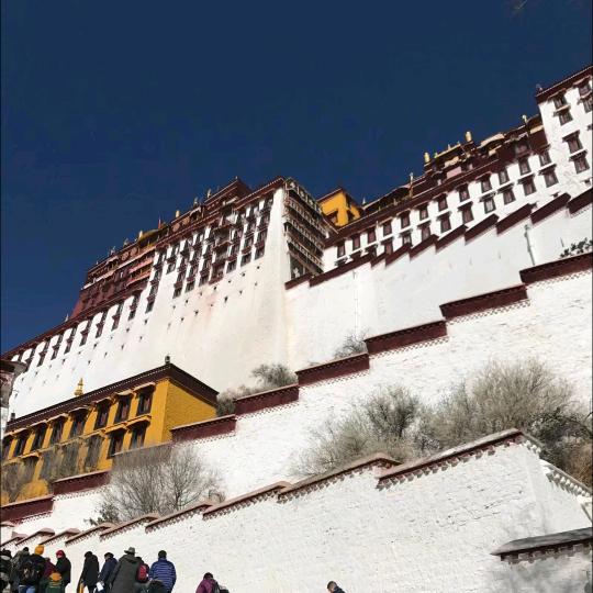 用户怪兽