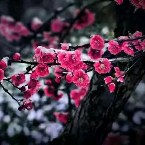 丰县信鑫电器有限公司