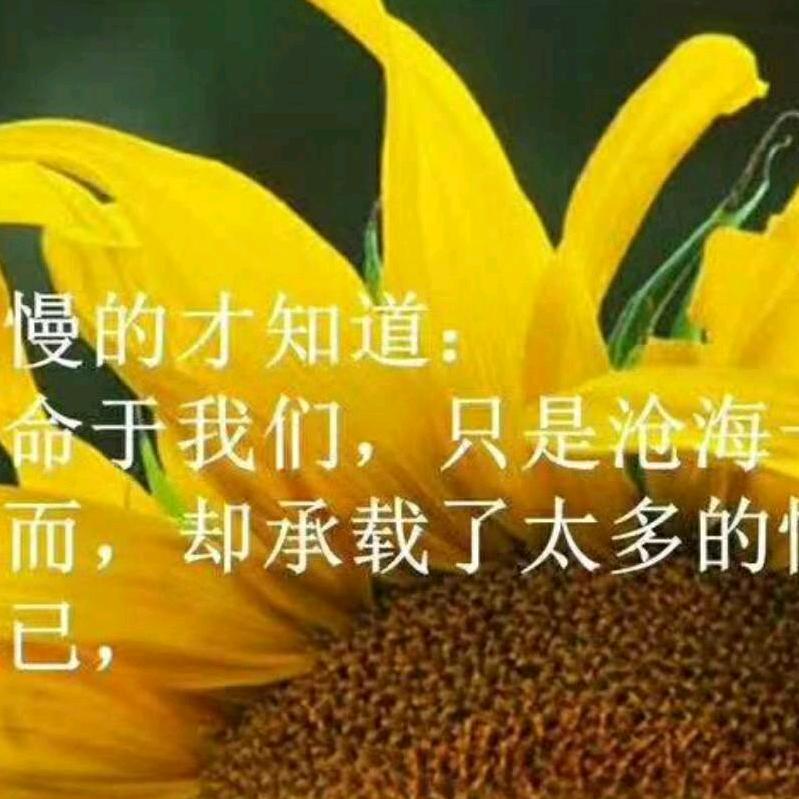 随遇而安