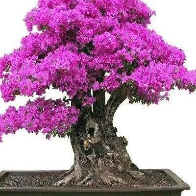 用户家和万事兴