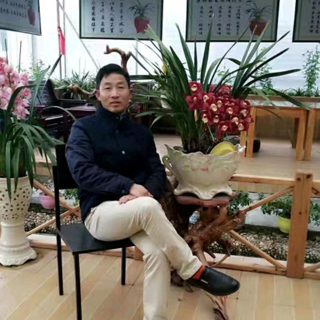 专门鸡鸭鹅