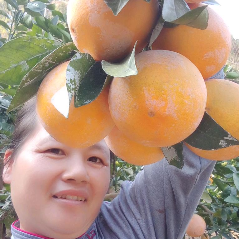 赣南脐橙雷姐