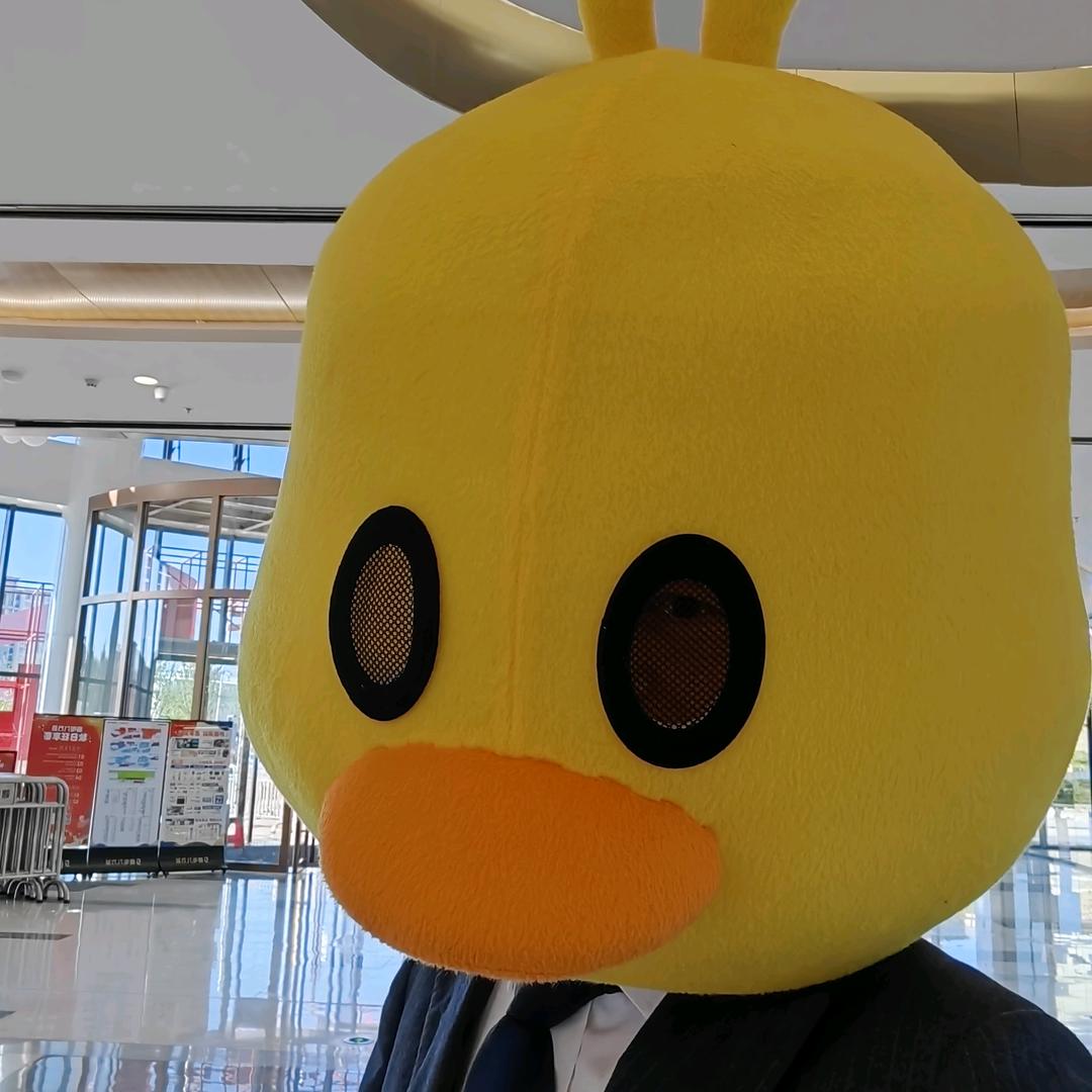 小灰灰来喽