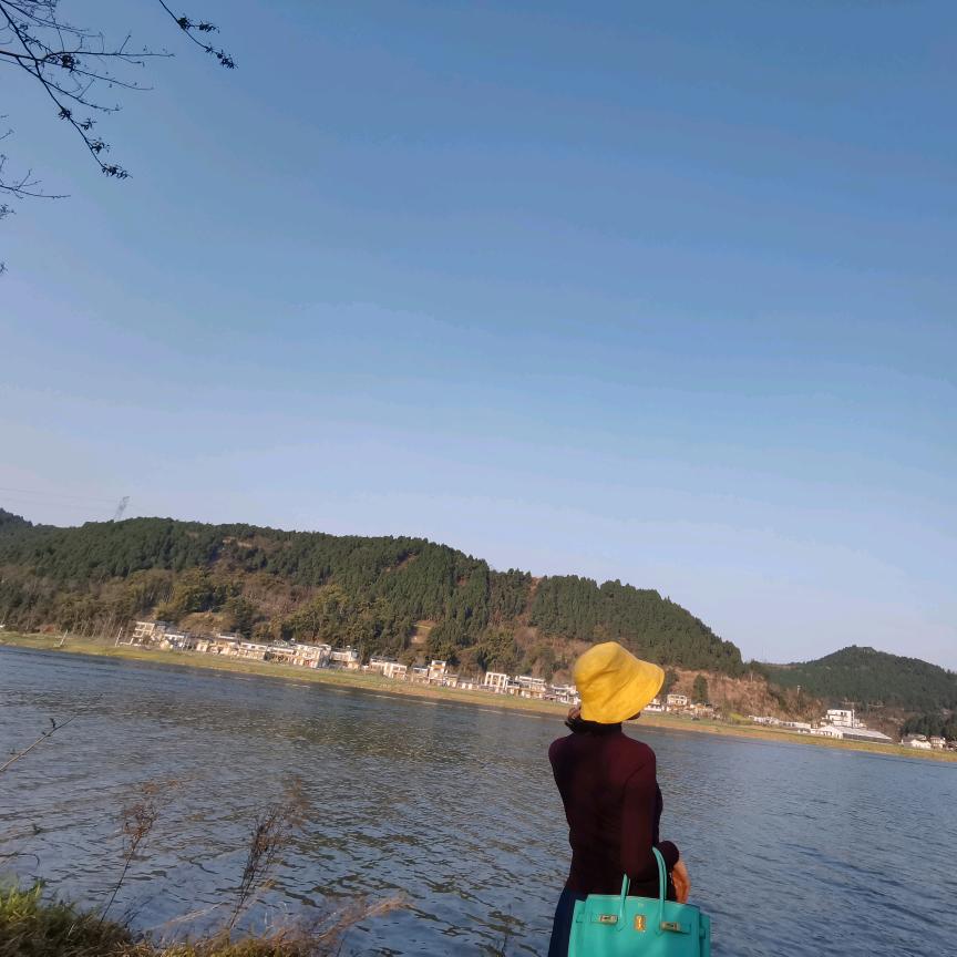 邹