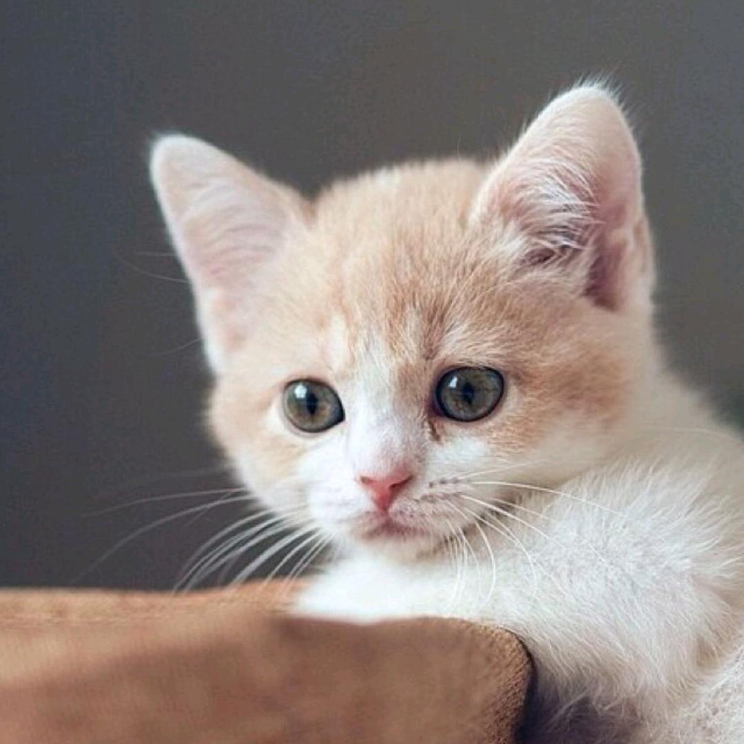 砀山爱家装饰设计