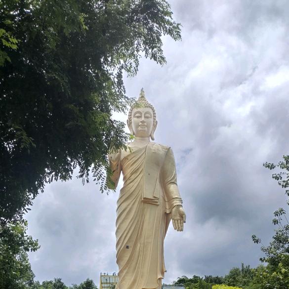 福运绵绵