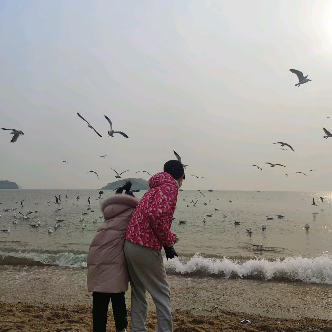 新源横河