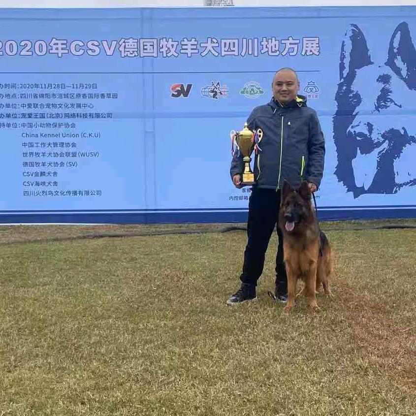 小胖犬舍