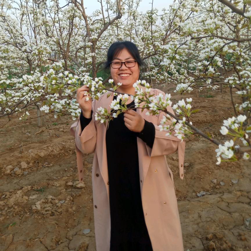 柠檬草