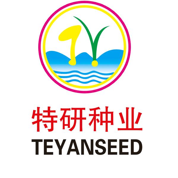 特研种业