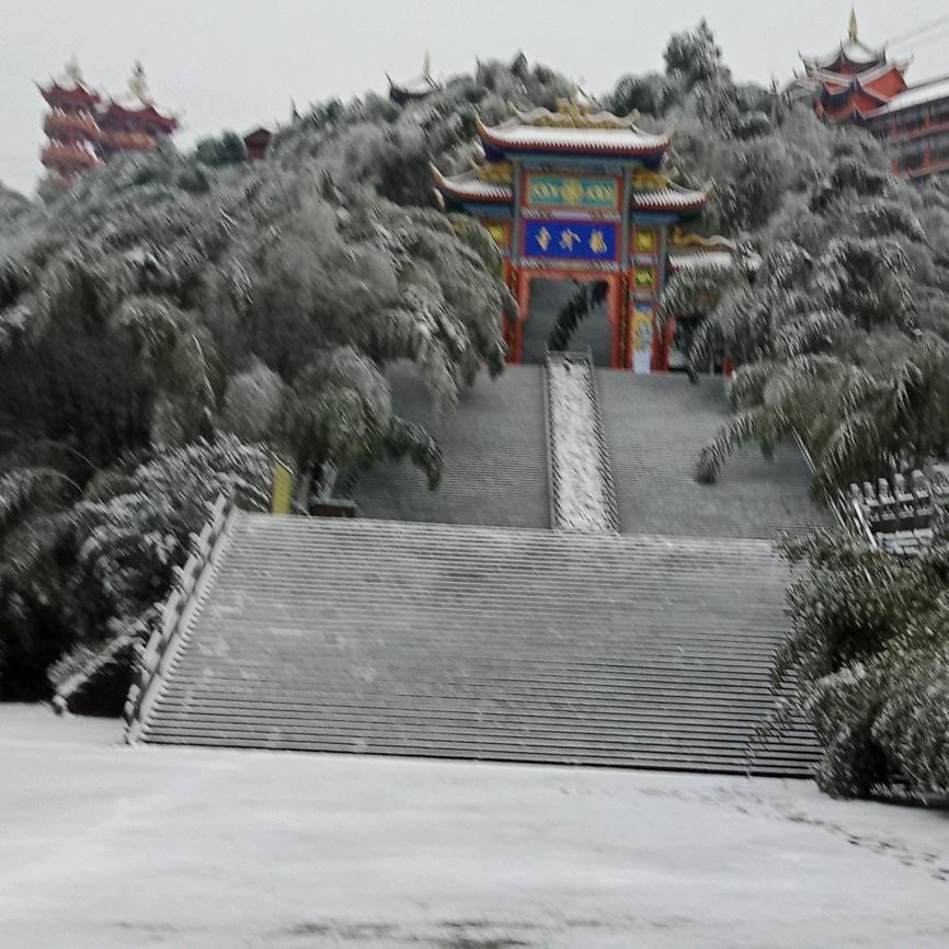 竹海翠天下,