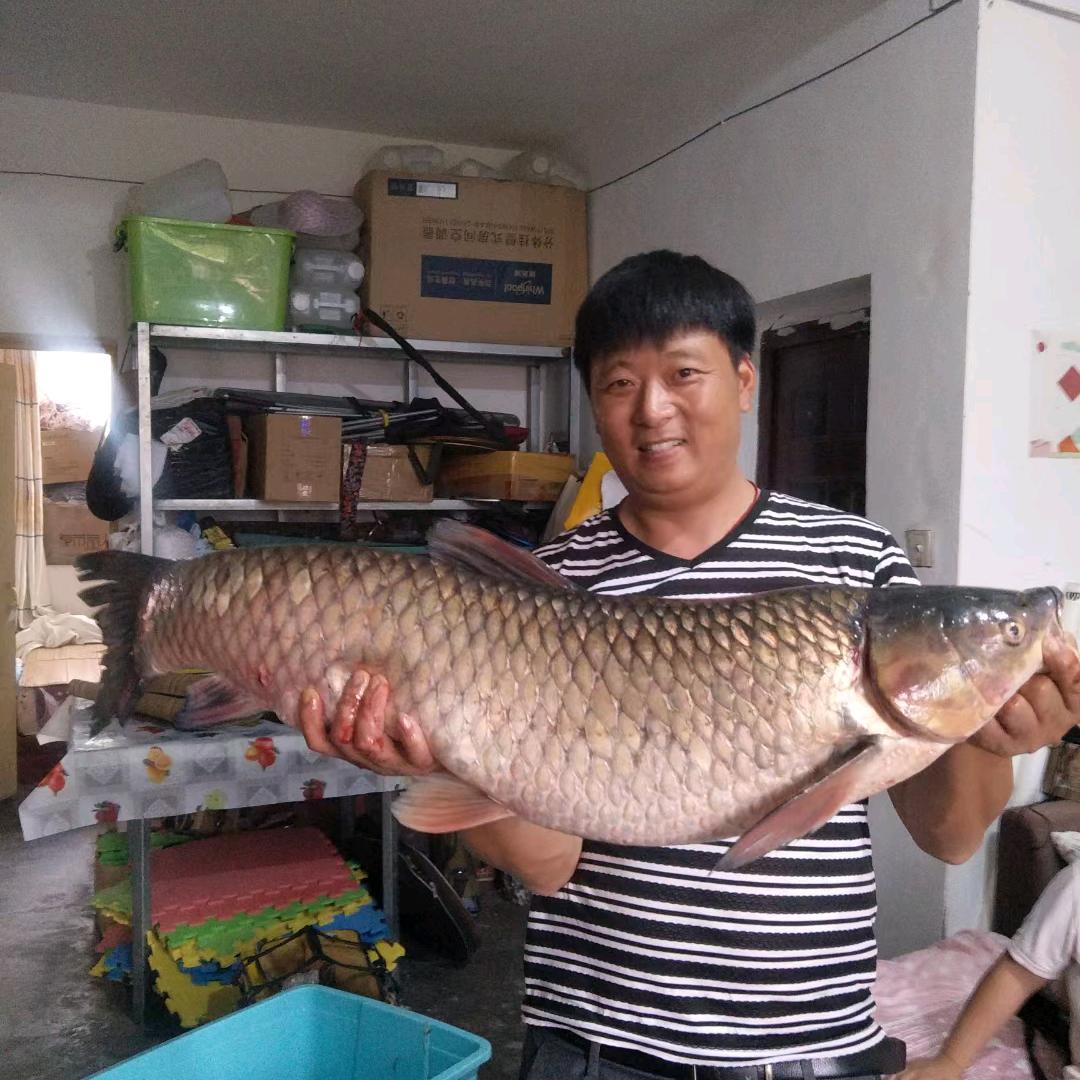 刘超