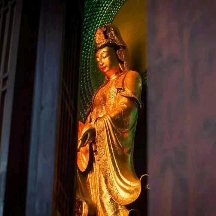 佛系