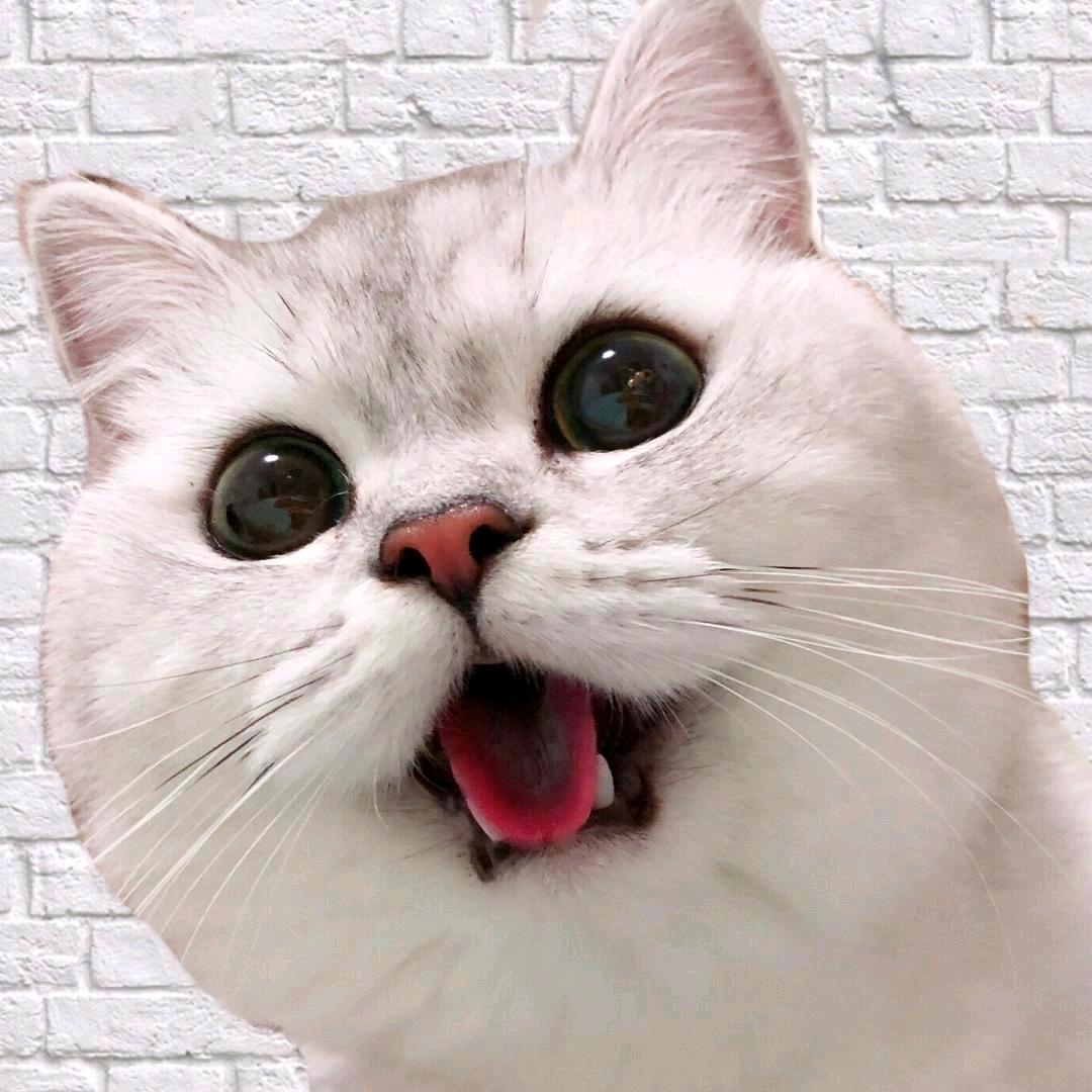 二虎团购