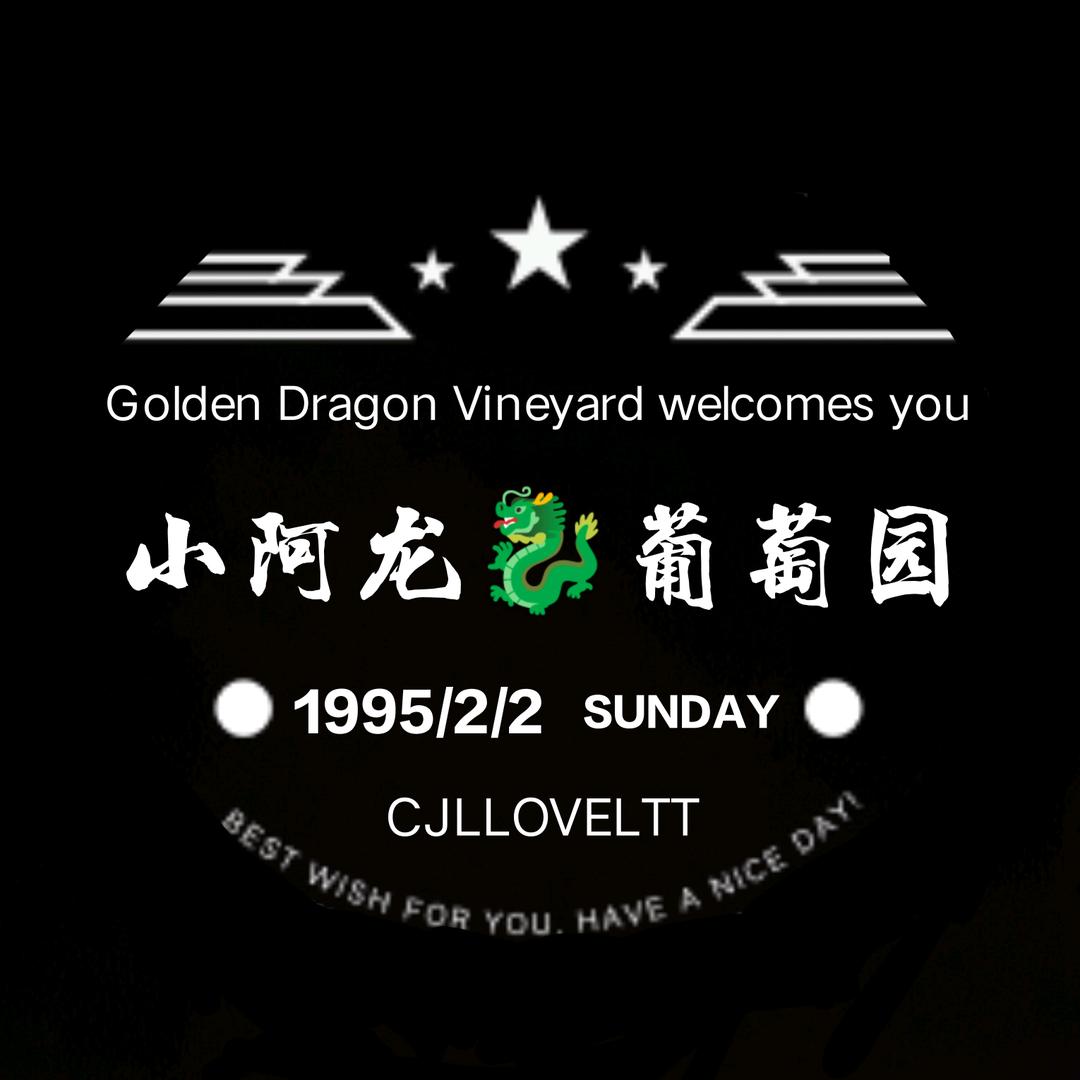 小阿龙葡萄园