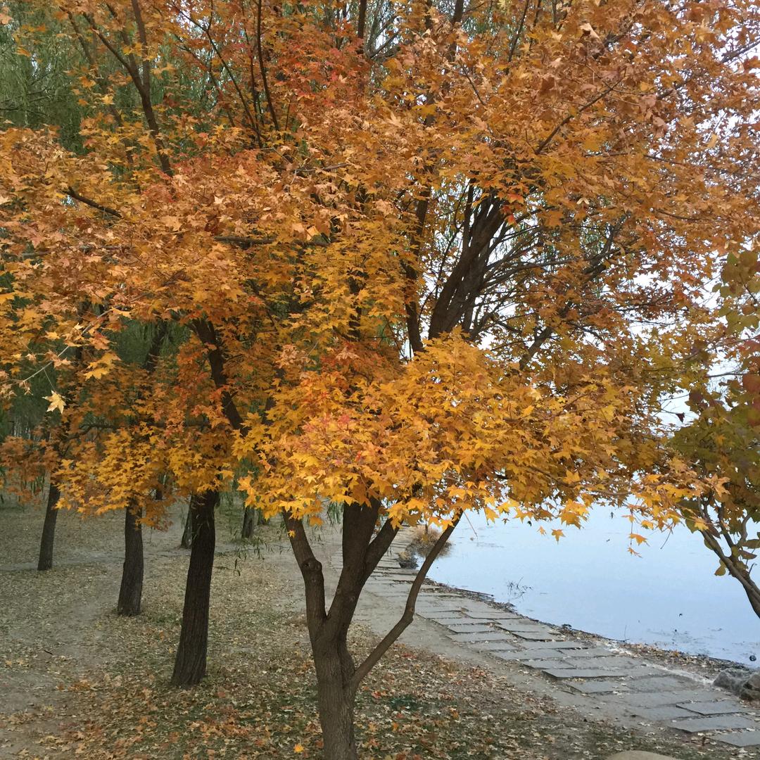 职业规划张老师