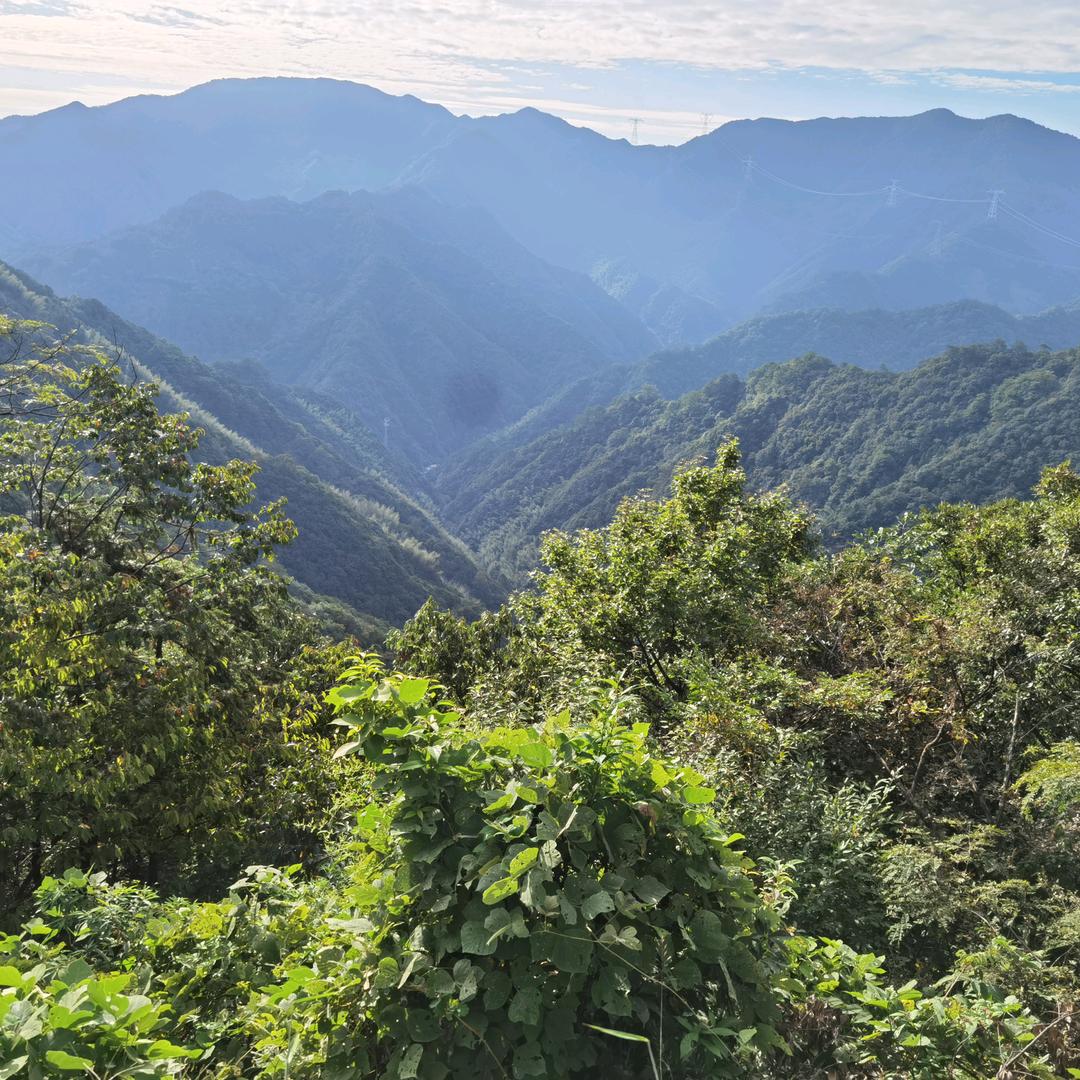 💗᭄料ᝰᩚ事꧔ꦿ如ᮁ沈᭄࿐