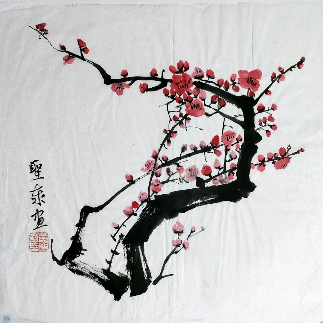 楠橙柯奇