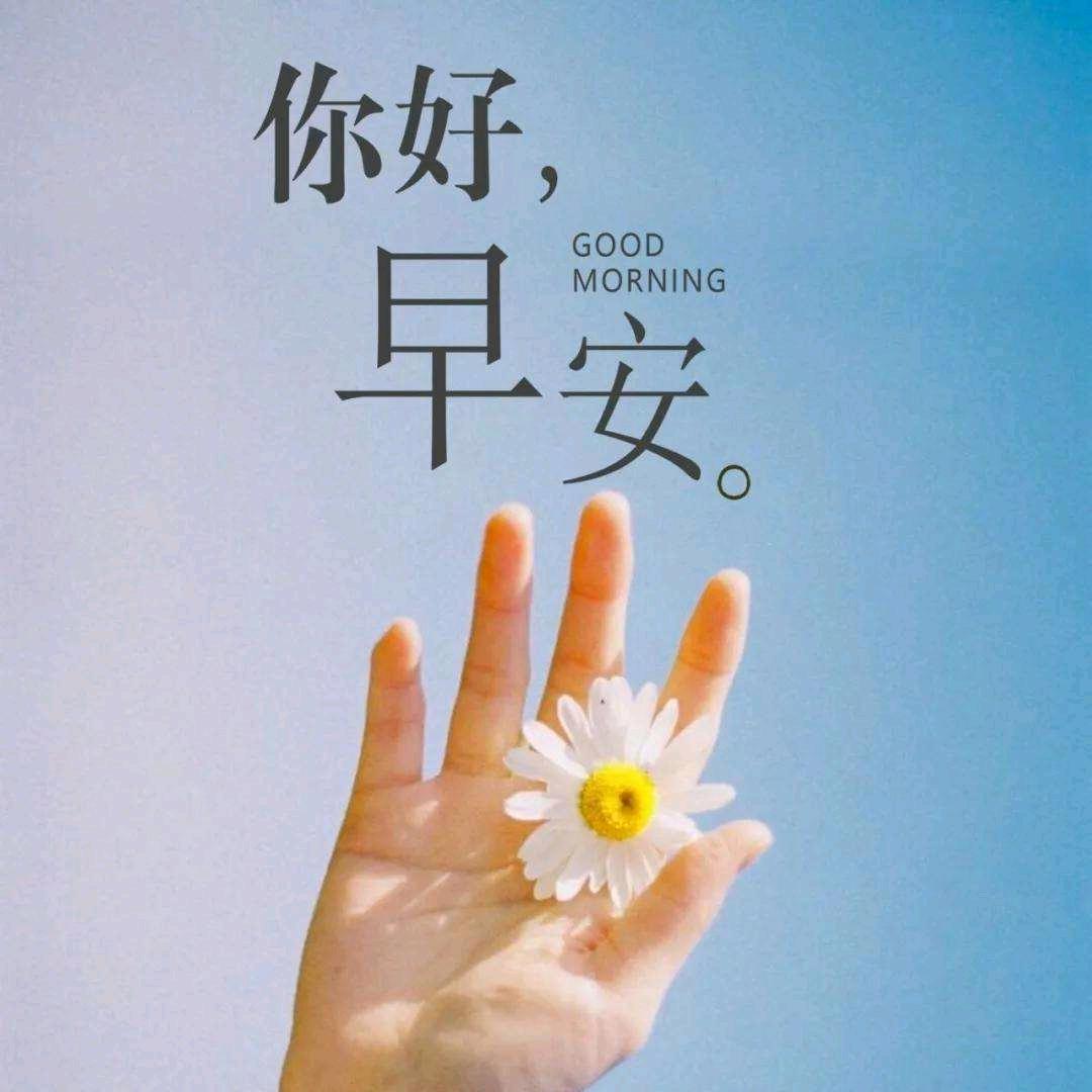 你好，早安🌞