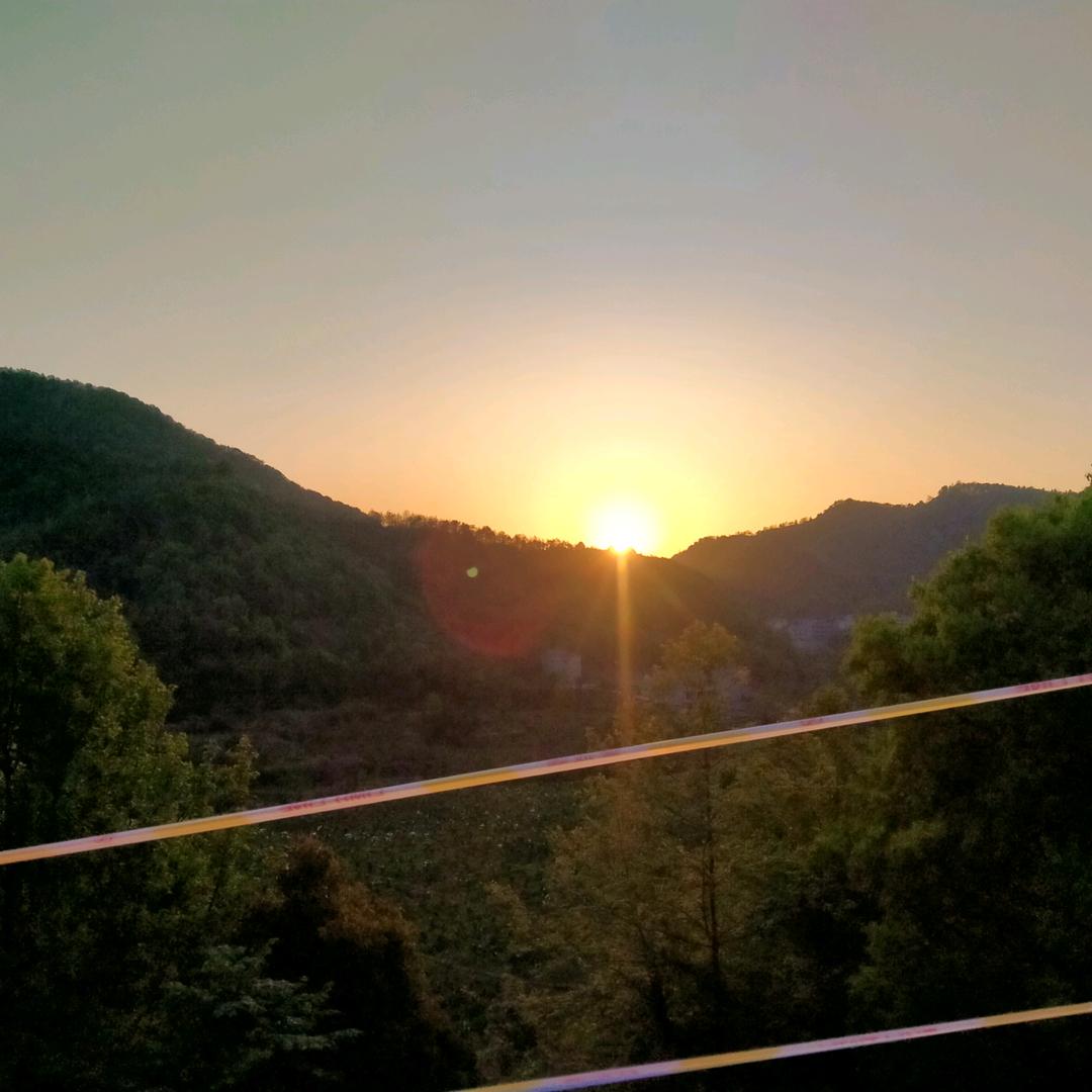 郑小华