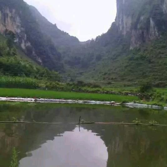 忍不住想你