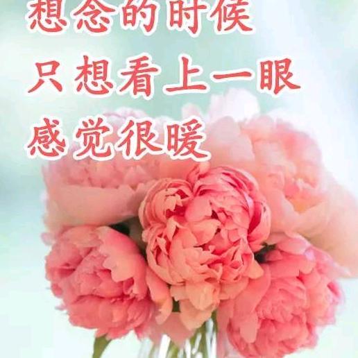 风雨同路