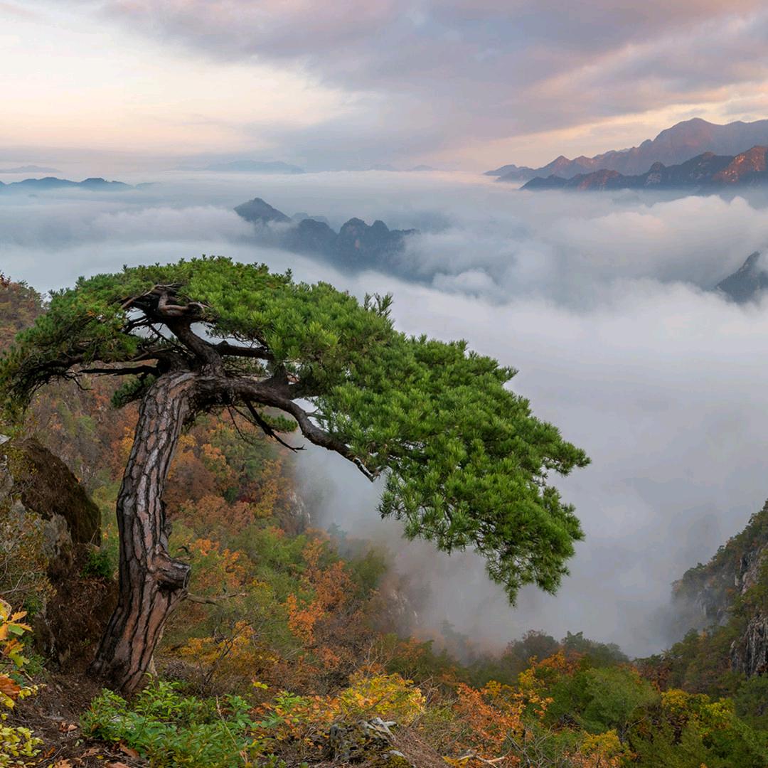 怡帆愚公斧挖改水磨钻机