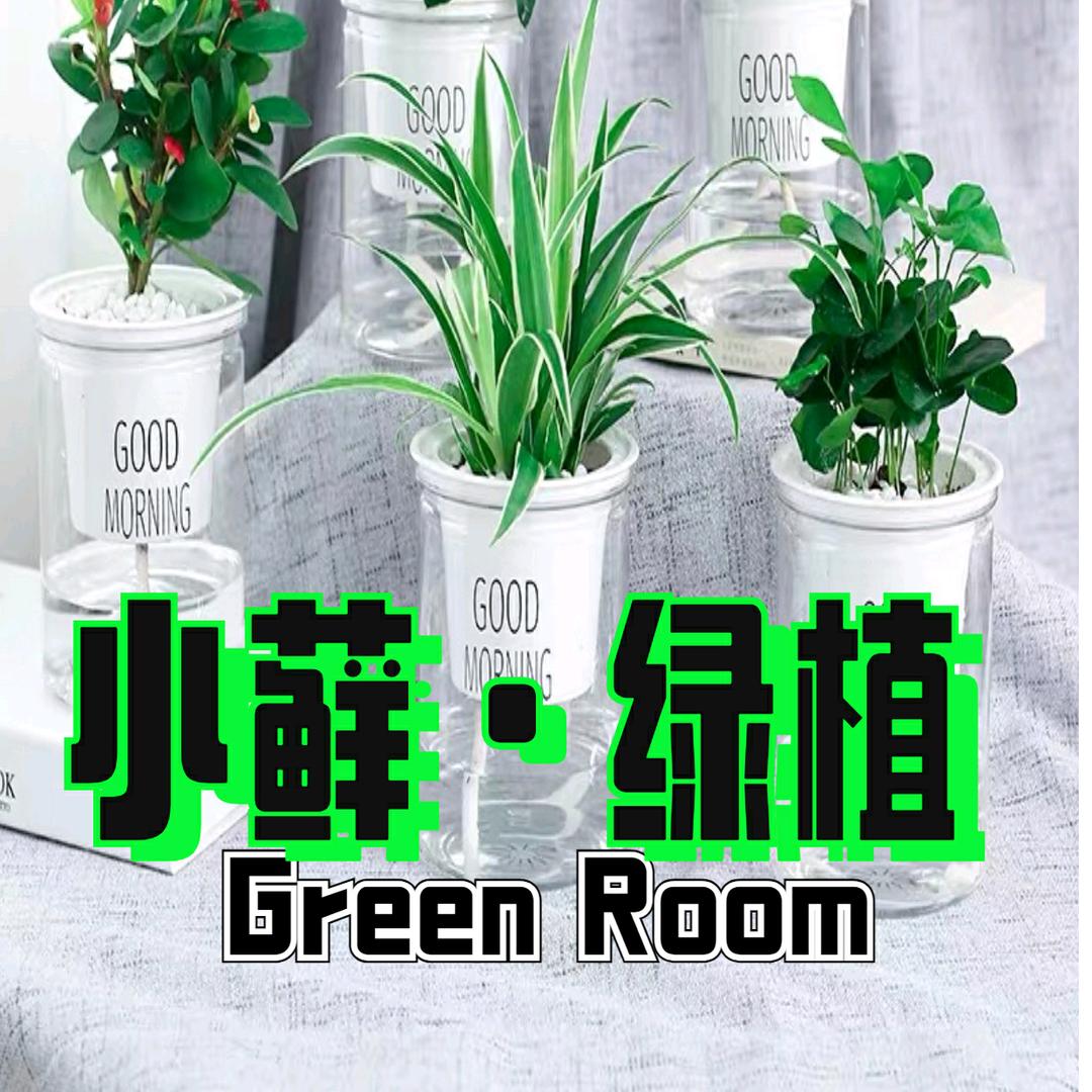 小藓家绿植花卉