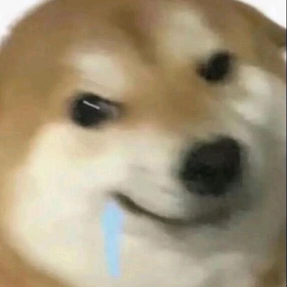 毛绒绒骑士