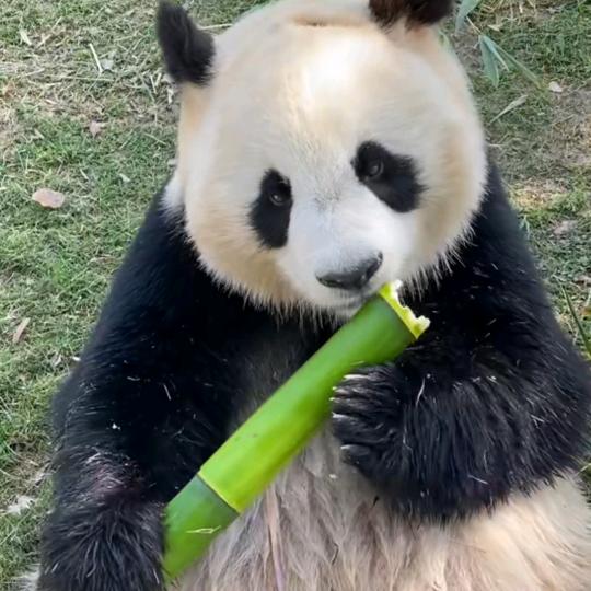 蓝天