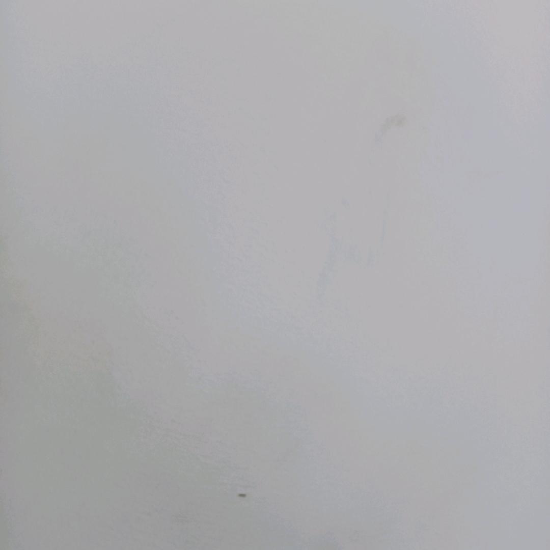 小鱼