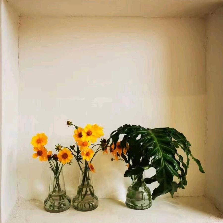 湖南省展览馆的陈先生