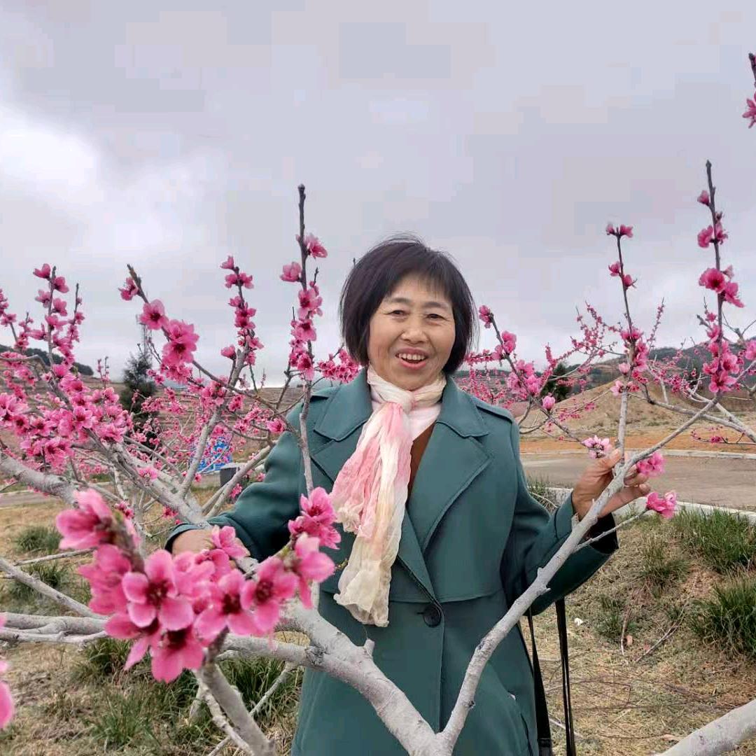 会泽阿文