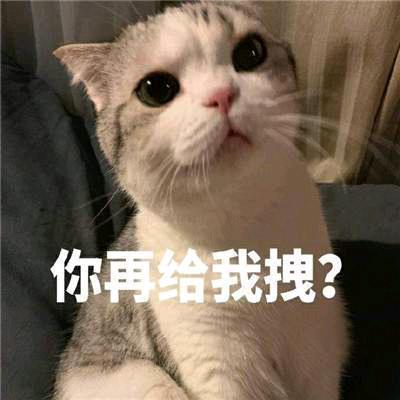 一本正经的胖子