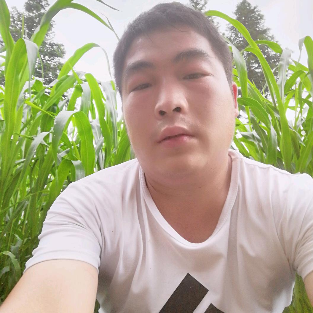 无聊人生