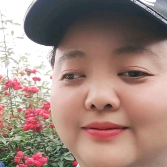 梦想莲姐