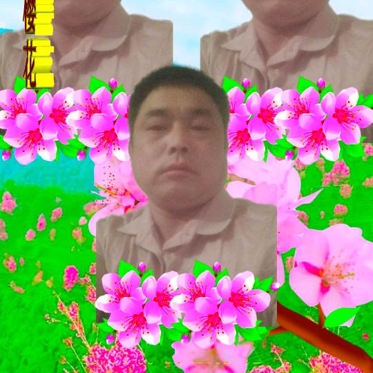 皇上