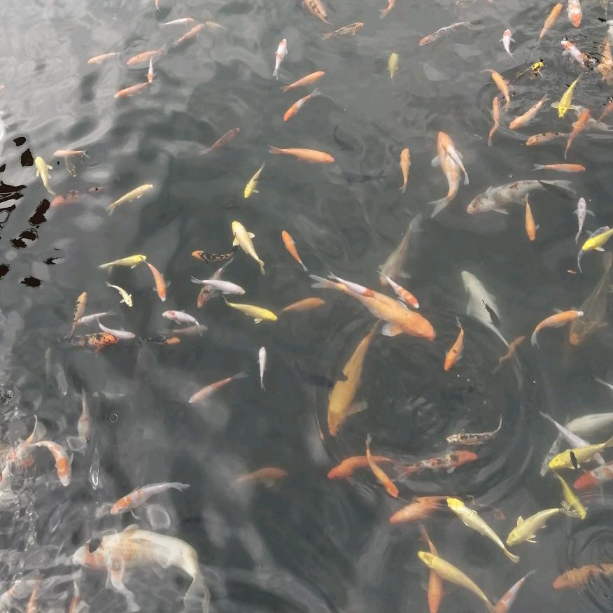 化州广告（发光字，标识牌）