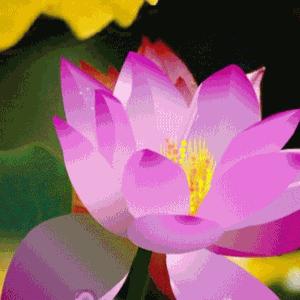 虎
