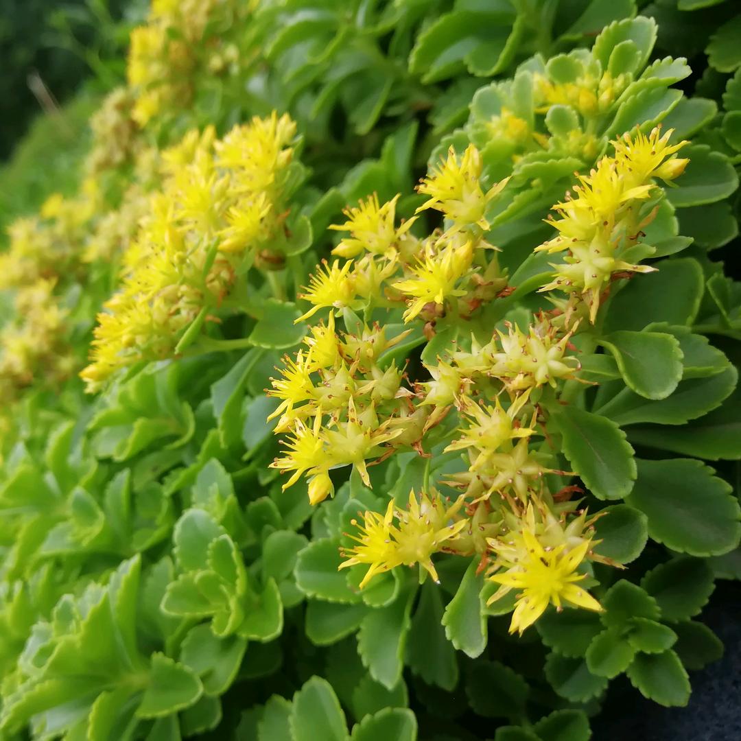 沈阳机床配件庄磊_