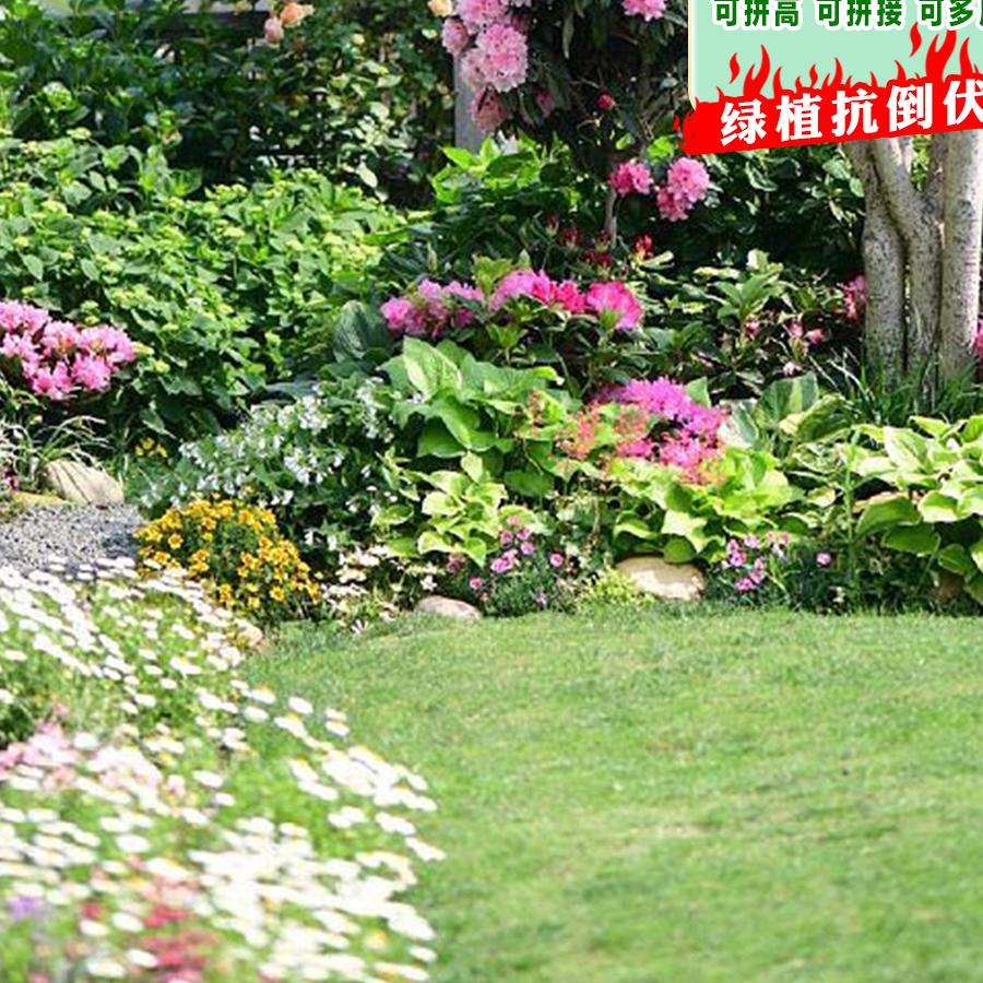 东海县花不喜花卉经营部（个体工商户）