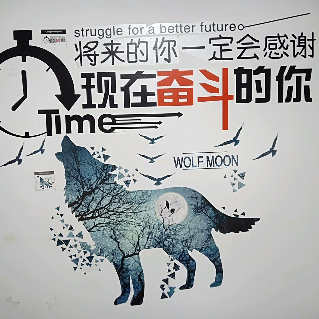 受了伤的狼《5288》