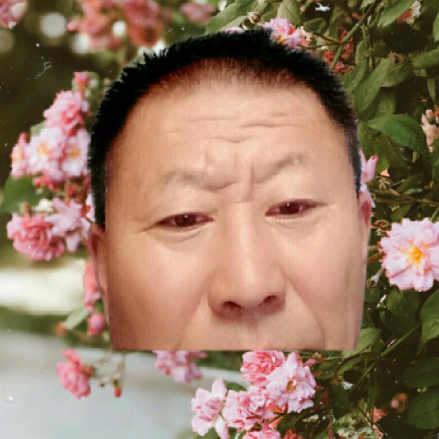 :枫叶飘飘