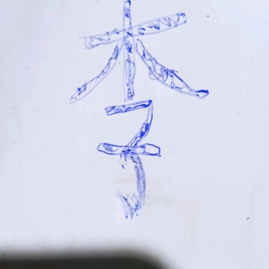 骑着乌龟，收破烂
