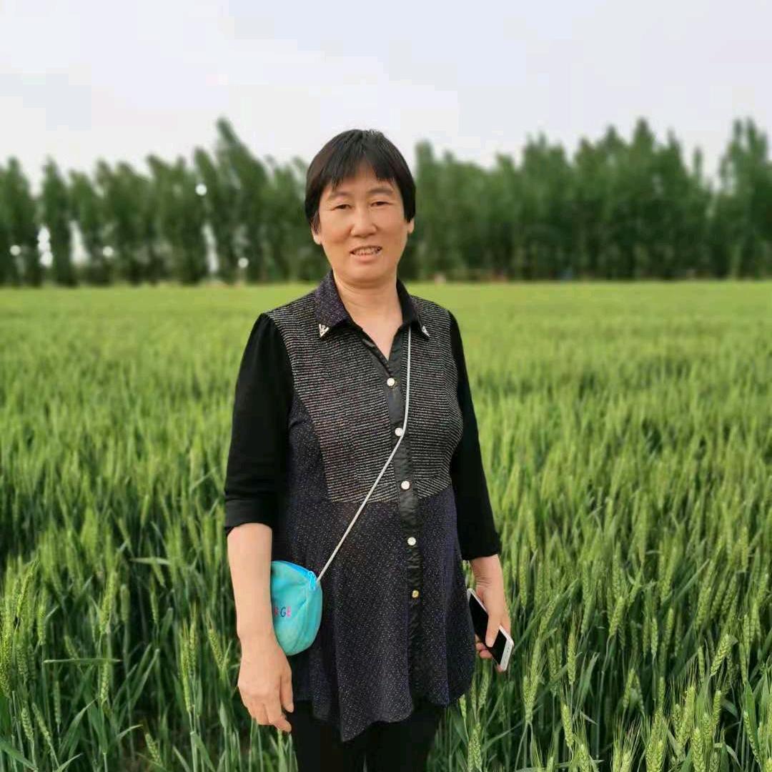 思远奶奶