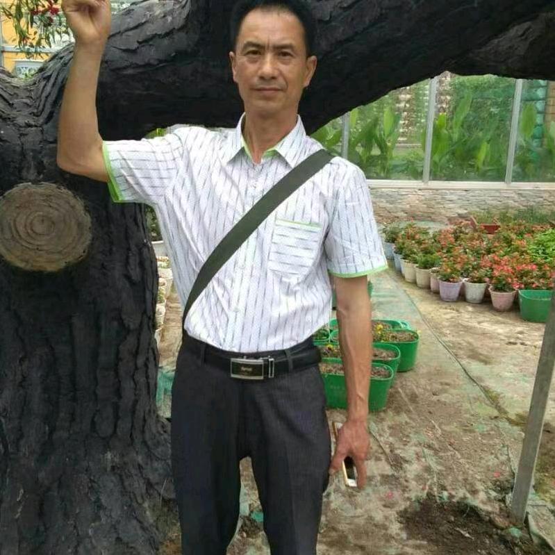 丁大哥