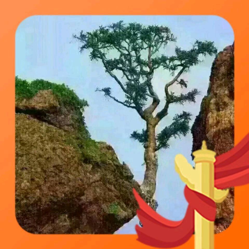 偶然相遇
